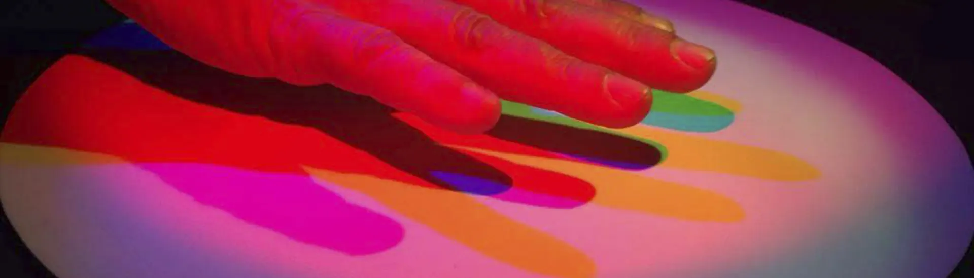 Comvulguis Portada Contacte